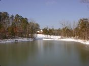 click refresh if no pic