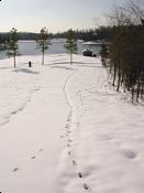 click refresh if no pic