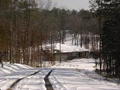 click refresh if no pic