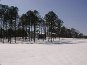 click refresh if no pic