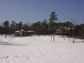 click refresh if no pic