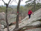 click refresh if no pic