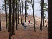 click refresh if no pic