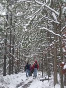 click refresh if no pic