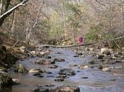 click refresh if no pic