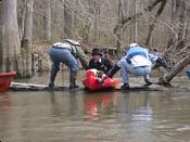 click refresh if no pic