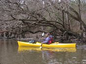 click refresh if no pic