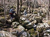 click refresh if no pic