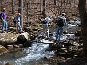 click refresh if no pic