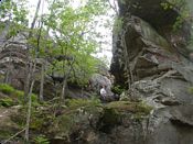 click refresh if no pic