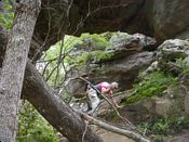 click refresh if no pic