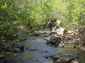 click refresh if no pic