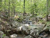 click refresh if no pic