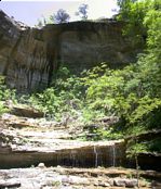 click refresh if no pic