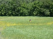 click refresh if no pic