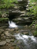 click refresh if no pic