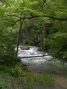 click refresh if no pic