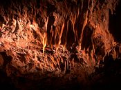 click refresh if no pic