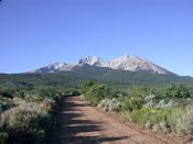 click refresh if no pic