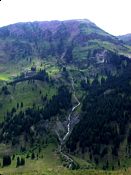 click refresh if no pic