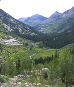 click refresh if no pic