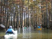 click refresh if no pic