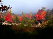 click refresh if no pic