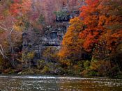 click refresh if no pic