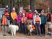 click refresh if no pic