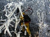 click refresh if no pic