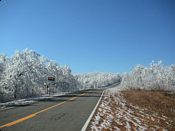 click refresh if no pic