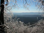 click refresh if no pic